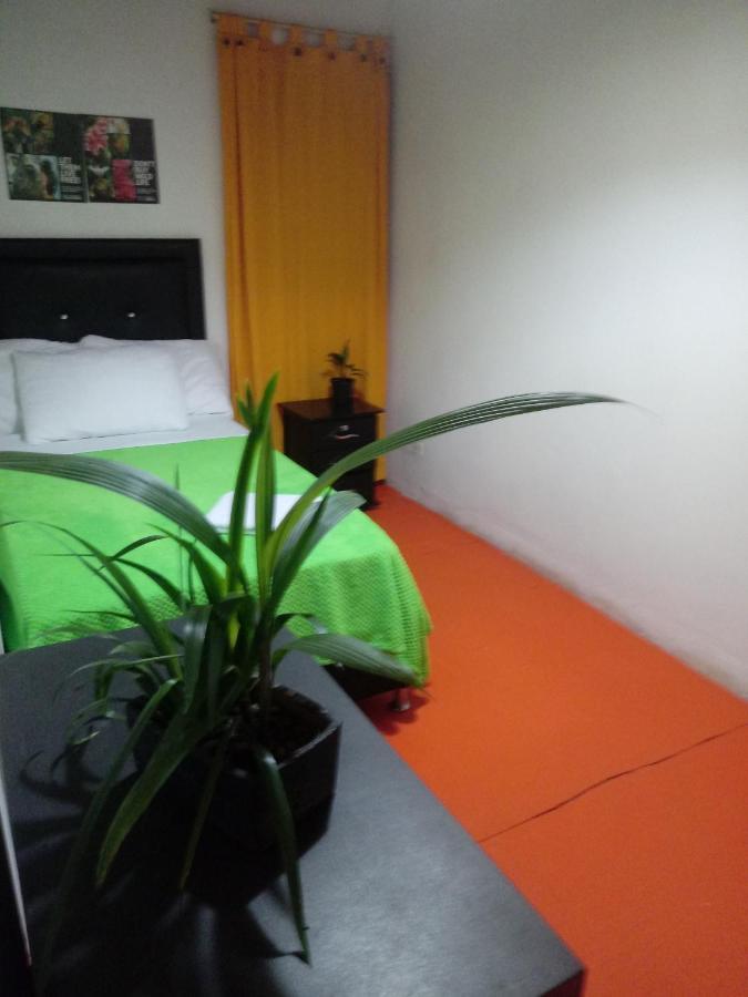 Bambu Glamping Ecolodge Medellín Exteriör bild