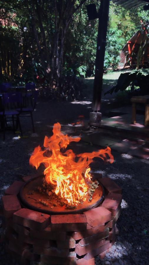 Bambu Glamping Ecolodge Medellín Exteriör bild