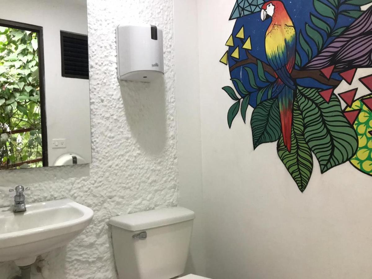 Bambu Glamping Ecolodge Medellín Exteriör bild