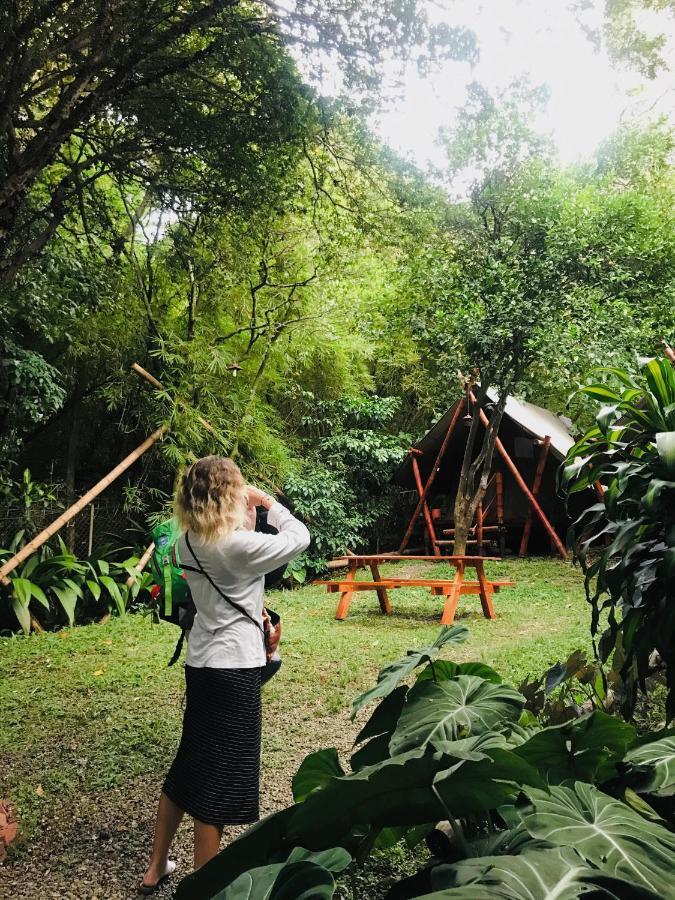 Bambu Glamping Ecolodge Medellín Exteriör bild